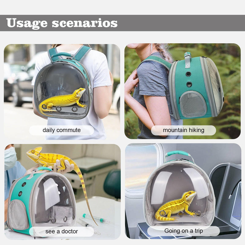 Expandable Bearded Dragon Backpack Carrier with Clear Bubble Window Large Space Travel Cage for Hedgehog Rat Parrot,Rabbit,Sugar Glider,Airline Approved (Green, Back Extention) Green - PawsPlanet Australia