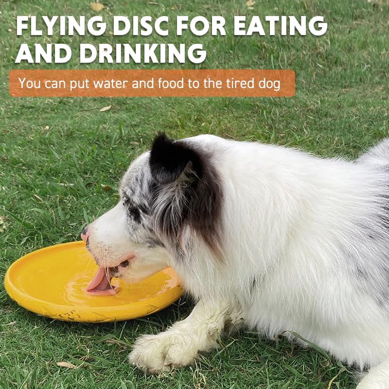 LaRoo Dog Flying Disc,Flying Plate 24cm Bite Resistant Floating Interactive Tossing Toys,Chew Toy for Training Summer Party Outdoor Playing Puppy Medium Large Dogs Birthday