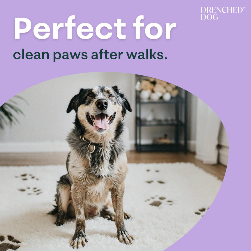 Paw Towel for Drying Small Dogs Paws and Legs - Ultra-Soft Microfiber, Super Absorbent, Quick Dry and Machine Washable – Must Have for Pets After Walk – Hand Size – Black – 9.5x15 in - PawsPlanet Australia