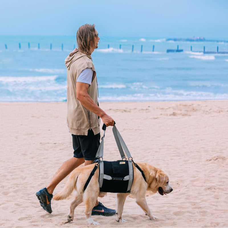 Dog Lift Harness for Large Dogs,Full Body Dog Sling Carrier with Handle,for Up Stairs/Back Legs Support/Dogs Joint Injuries/Arthritis/Nail Clipping L - PawsPlanet Australia