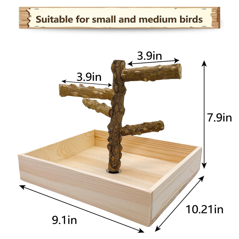 Hamiledyi Bird Perch Stand Playground Parrot Playground Tabletop Natural Wooden Perch PlayStand Platform Toys for Parrots Parakeets Lovebirds Canaries Cockatiels Conure - PawsPlanet Australia