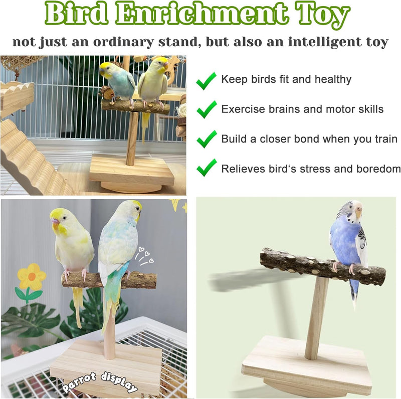 Natural Wood Bird Perch Stand Training, Intelligence Puzzle Enrichment Toys for Parakeets, Wooden Parrot Perch Platform, Bird Playground Play Stands for Conure Cockatiel (Wood, Small) - PawsPlanet Australia