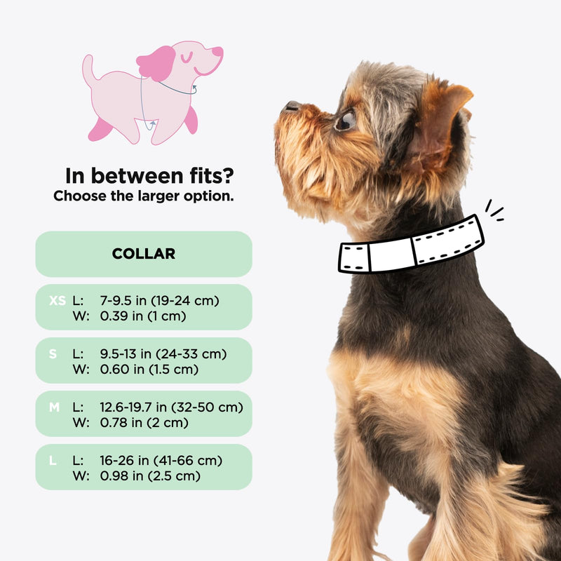 Sassy Woof Dog Collar Nickelodeon Rugrats™ - L, Adjustable, Durable, Comfortable and Stylish Pet Accessories for Large Dogs - Officially Licensed