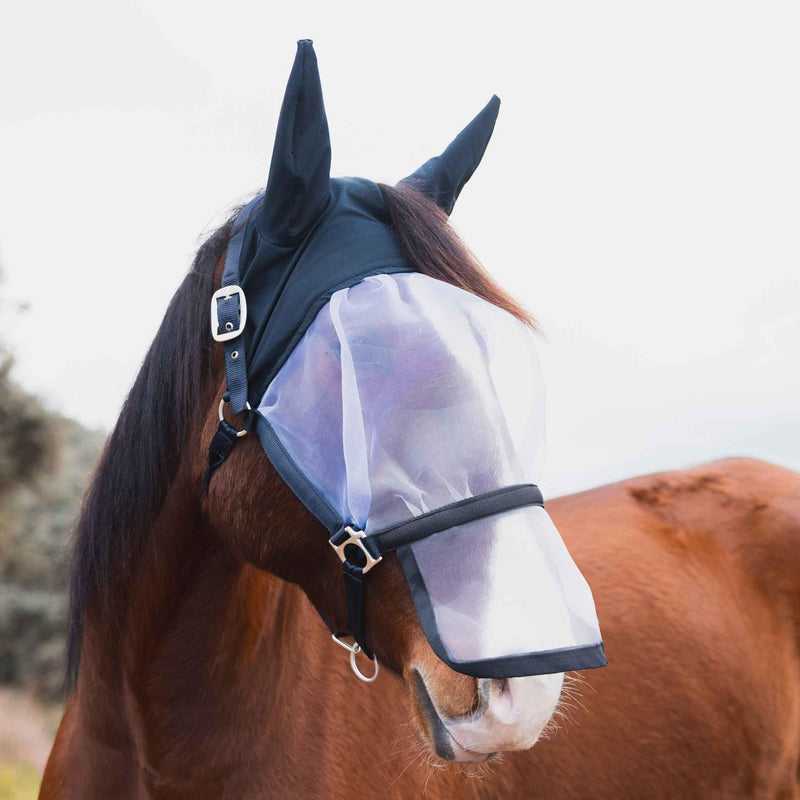 Horze Paso Fino 2 in 1 Halter and Fly Mask - Overture Navy - Pony