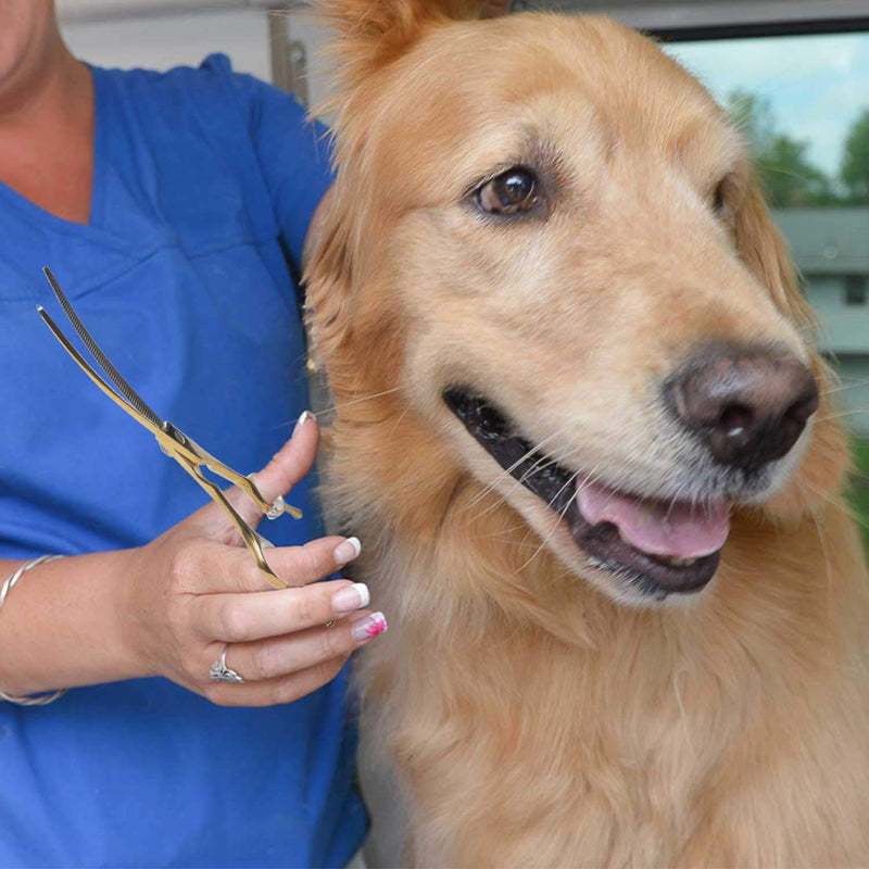 PURPLEBIRD 7 Inch Downward Curved Dog Grooming Scissors Thinning Texturizing Shears Professional Safety Blunt Tip Trimming Shearing for Dogs Cats Face Paws Limbs Japanese Stainless Steel Yellow Yellow Thinning - PawsPlanet Australia