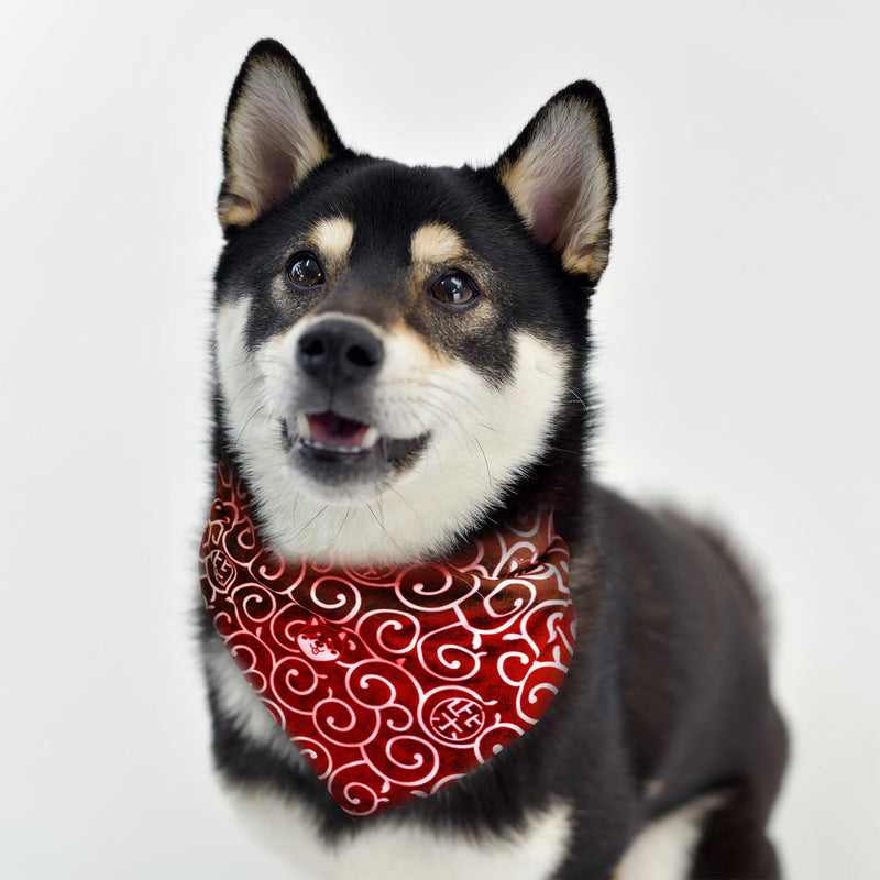 Shiba Inu Dog Karakusa Bandana Large with Kawaii Shibaken Logos & Shiba Kanji Logos Comfortable, Washable, and Stretchy Pet Scarf Size One-Sided Print (Red) Red - PawsPlanet Australia