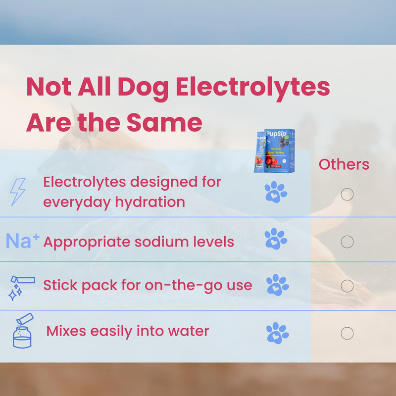 Dog Electrolytes – Hydration Support for Heat, Travel & Exercise – Helps Prevent Dehydration & Encourage Drinking – Water Flavor Enhancer with Electrolytes for Dogs, 12 Sticks