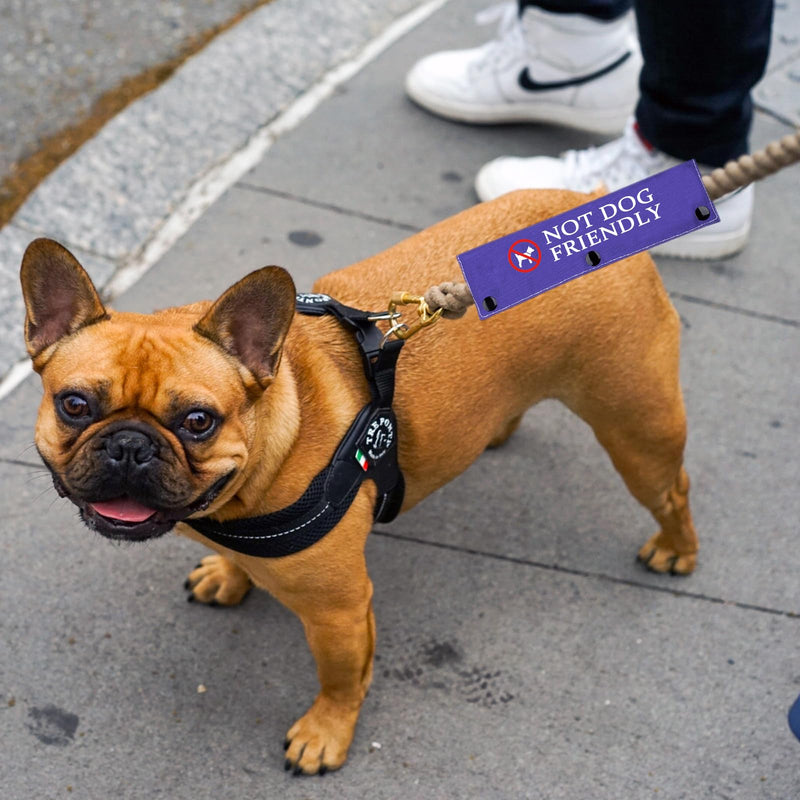 Social Distancing Dog Leash Sleeve Not Dog Friendly Dog Leash Wrap for Pets（Not Dog Friendly） - PawsPlanet Australia