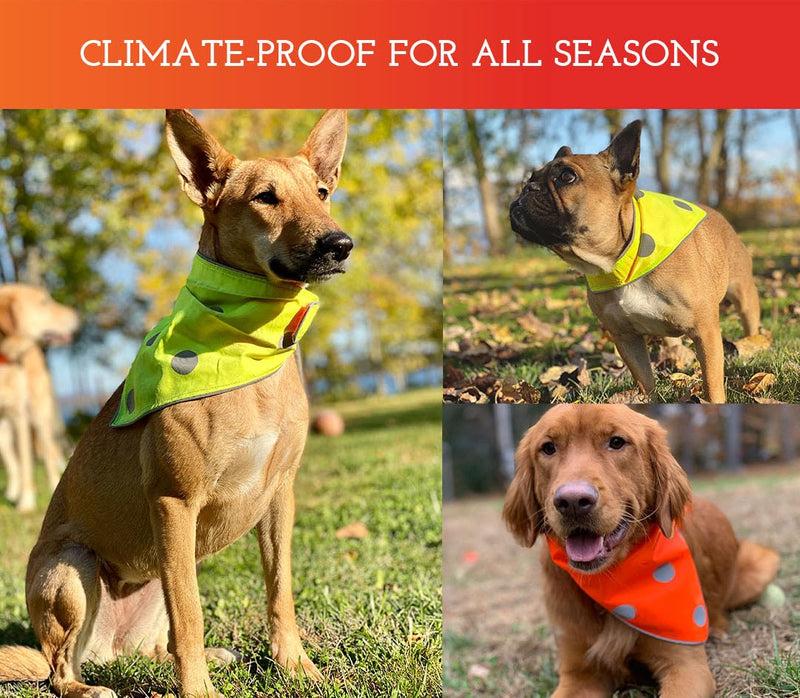 SPOT THE DOG! Reflective Bandana Bib Safety Apparel for All Dogs - Easy Fastening Closure, Reversible High Visibility Fluorescent Orange/Yellow L-XL L-XL (Neck: 17"-29.5") - PawsPlanet Australia