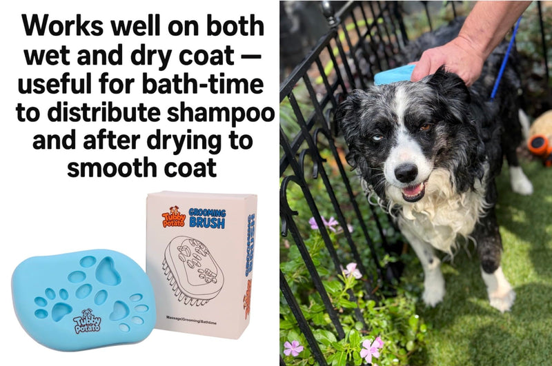 Dog/Cat Curry Brush for Grooming - Tubby Potato™ - Removable Screen, Grooming Massage Bath Brush, Soft Shampoo Scrubber, Washing Scrub Comb with Silicone Bristles for Short & Long Hair Pets - PawsPlanet Australia