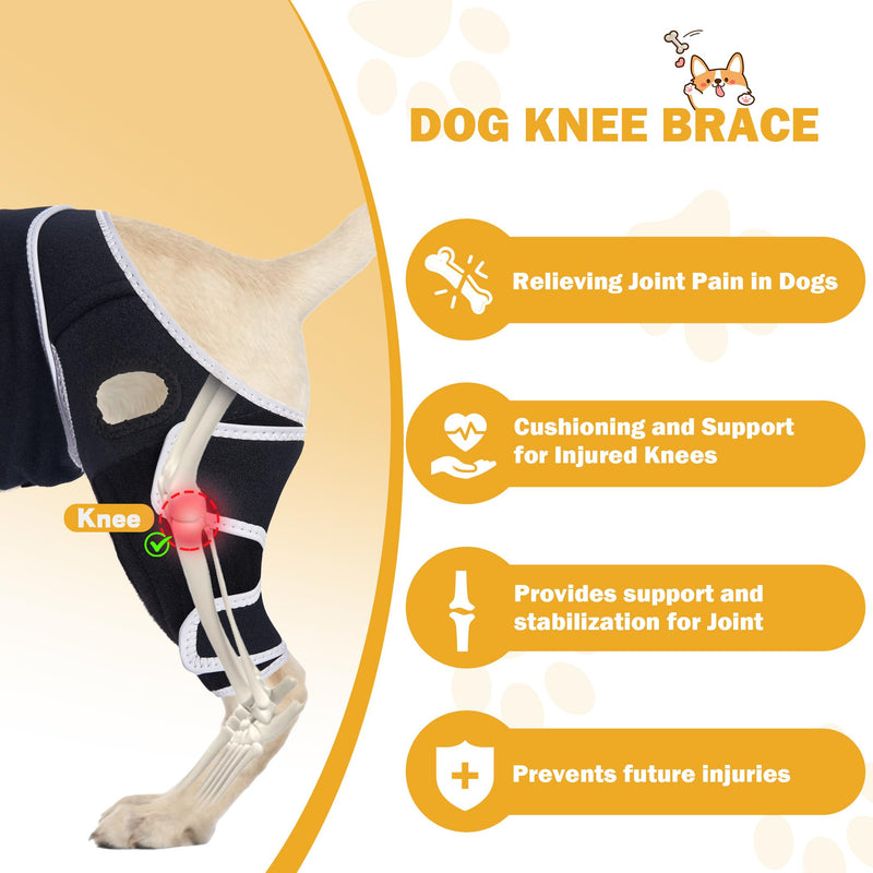 Dog Knee Brace for Torn ACL Hind Leg, Adjustable Dog ACL Braces Rear Leg or Front Legs with Cruciate Ligament Injuries, Support Brace for Back Legs, M