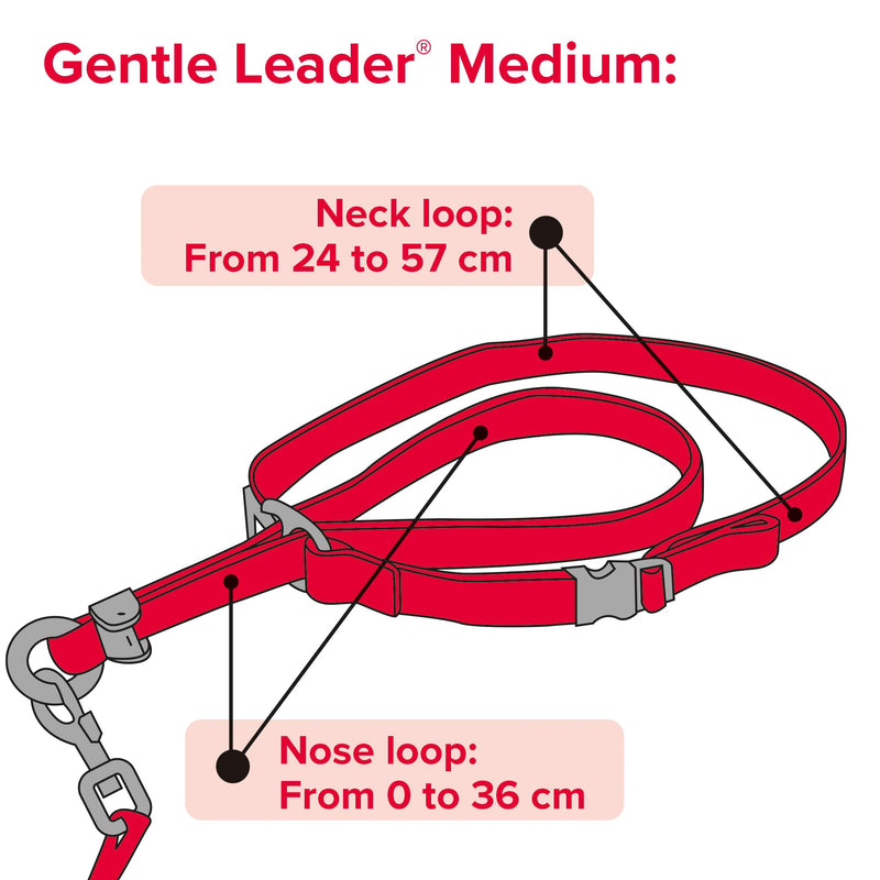 Beaphar | Gentle Leader | Head Collar for Medium Dogs | Stops Pulling On The Lead | Training Aid with Immediate Effect | Endorsed by Behaviourists | Red x 1