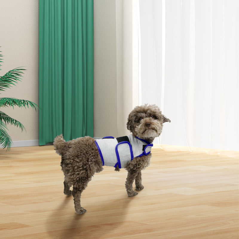 Dog Anxiety Vest, Comfort Dog Anxiety Relief Coat, Breathable Dog Calming Vest for Thunderstorm, Travel, Fireworks, Vet Visits (S,Light Grey) Small Light Grey - PawsPlanet Australia