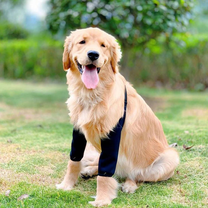 Dog Leg Protector Elbow Brace Dog Prevents Licking Wounds Helps with Arthritis (XL for Medium and Large Dogs) Xl
