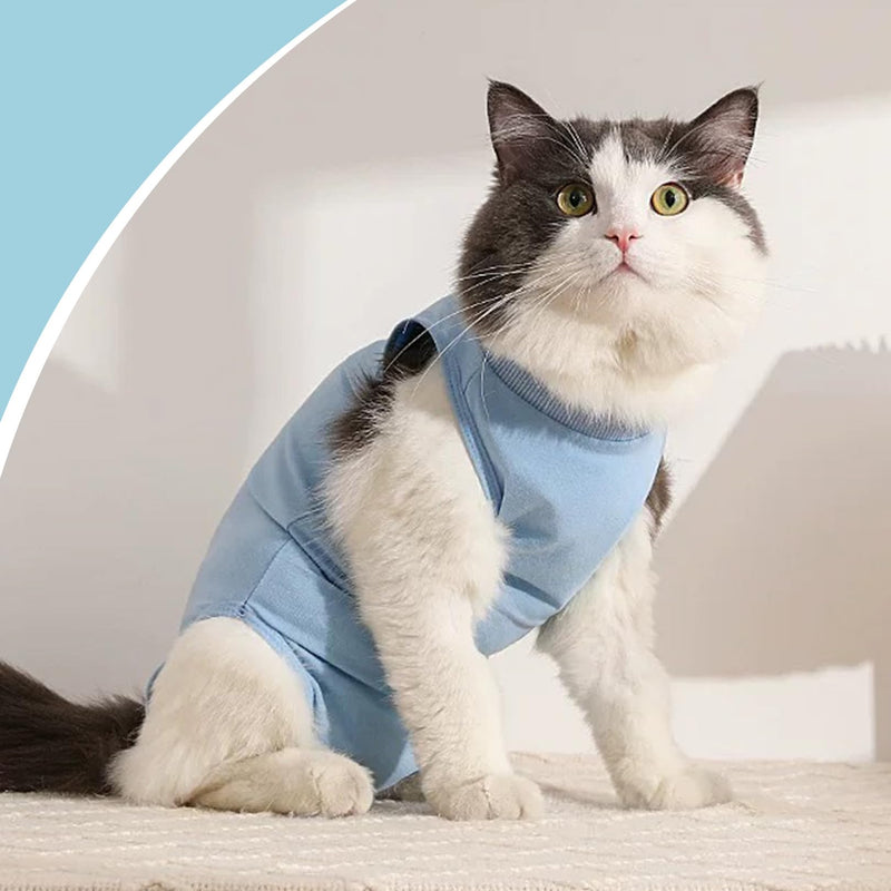 BFUZXY Cat Bodysuit After Surgical Recovery Suit, Cat Clothing for Cats, Kittens, One Piece, Breathable, Lick Protection for Abdominal Wounds, Castration Spay, Cat Body Surgery, Recovery Suit (S-Blue) S blue