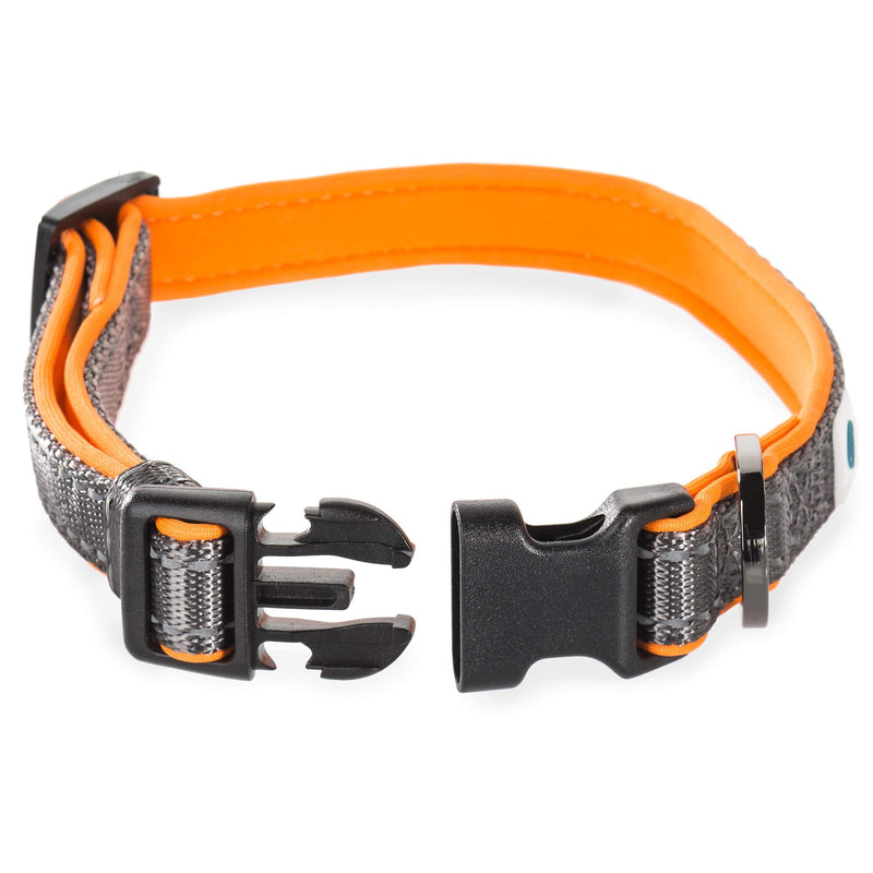Embark Adventure Dog Collar with Soft Padded Neck, Matching Set with The Adventure Leash and Harness, Pet Collars for Dogs & Most Breeds - Dog Collar for Small Dogs (Small Dog Collars, Orange) - PawsPlanet Australia