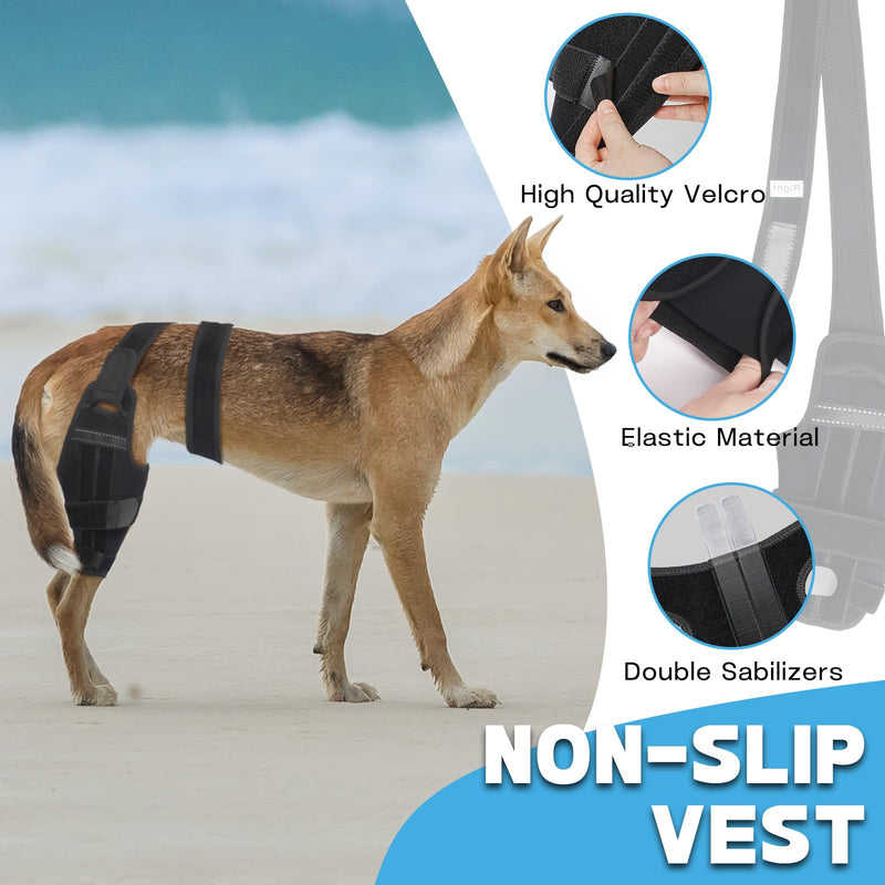 Adjustable Dog ACL Knee Brace – Rear Leg Support for Cruciate Ligament Recovery, Arthritis & Joint Pain Relief (Left,XL) XL LeftLeg - PawsPlanet Australia