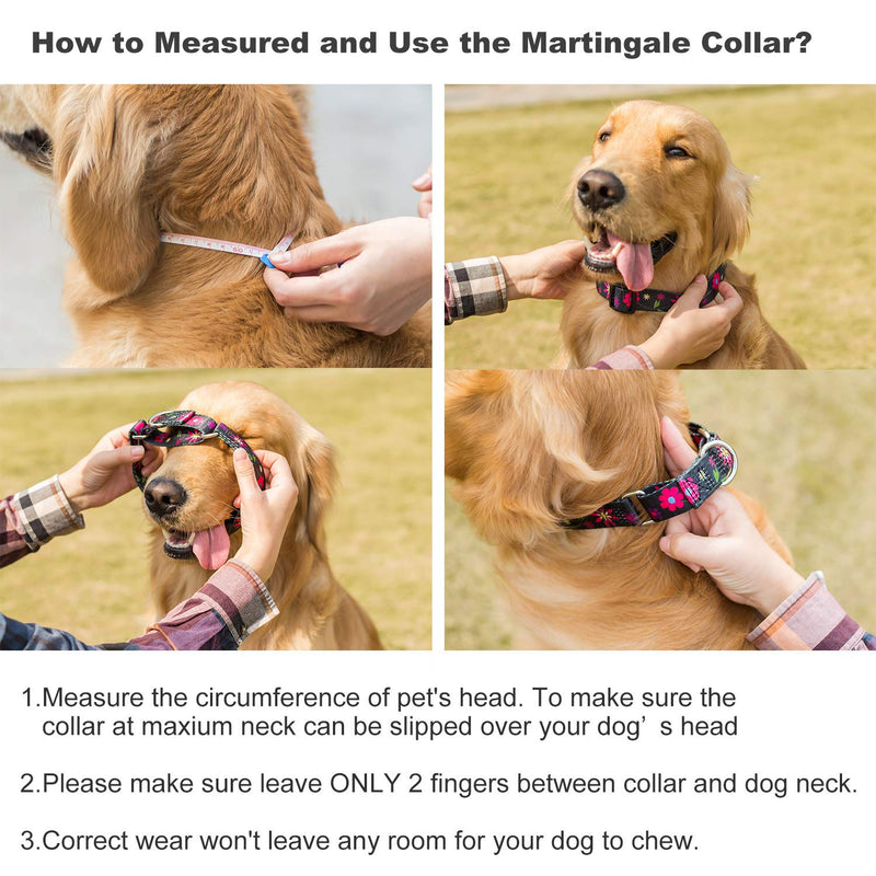 Martingale Collar Floral Print Dog Collar - No Pull Pet Collar, Heavy Duty for Medium Dogs, Adjustable Neck 14 Inch to 21 Inch, Sun Flower (Black) Medium, 1 Inch Wide Sun Flower - Black - PawsPlanet Australia