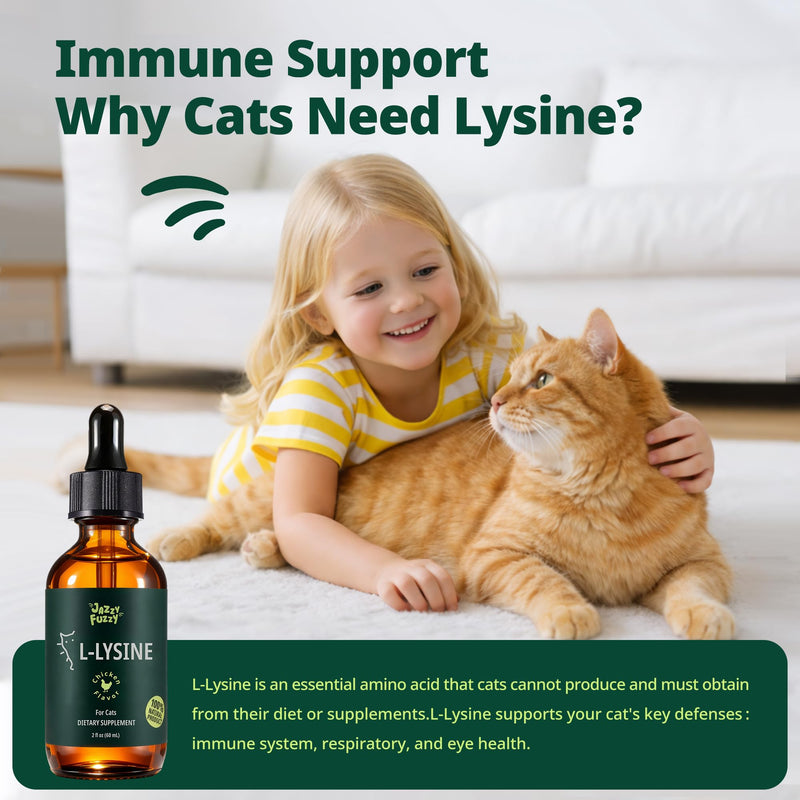 L-Lysine for Cats Liquid Drops, Immune, Respiratory & Eye Support, with Taurine and B Vitamins, Chicken Flavor, Easy to Mix for Kittens & Adult Cats, 60 mL