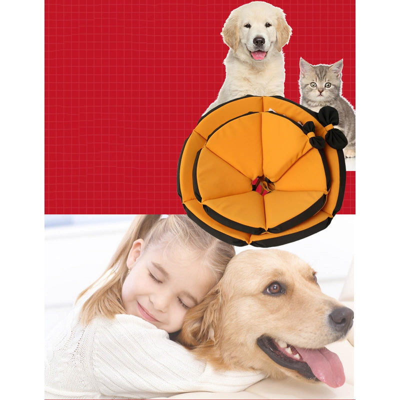 Protector Pet Recovery Holder