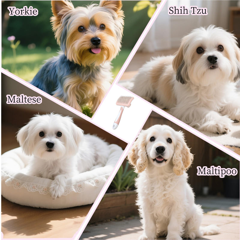 Self Cleaning Slicker Dog Brush for Small Long-Haired Breeds, One-Click Hair Removal, Puppy Essentials, Fit Yorkie, Shih Tzu, Maltese, Maltipoo, Pomeranian, Pet Grooming Tool (Pink) Pink - PawsPlanet Australia