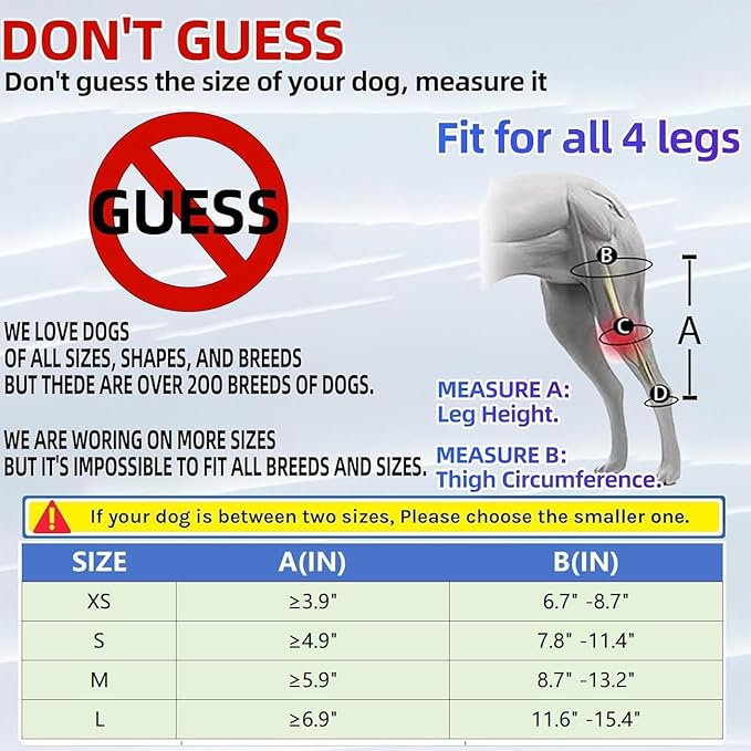Dog ACL Knee Brace Dog ACL Dog Braces for Back Leg. Dog Front Leg Brace. Dog Assistance for Back Legs. Knee Brace for Dog Knee Brace for Luxating Patella. Dog Shoulder Brace. Dog Leg Brace Front L - PawsPlanet Australia