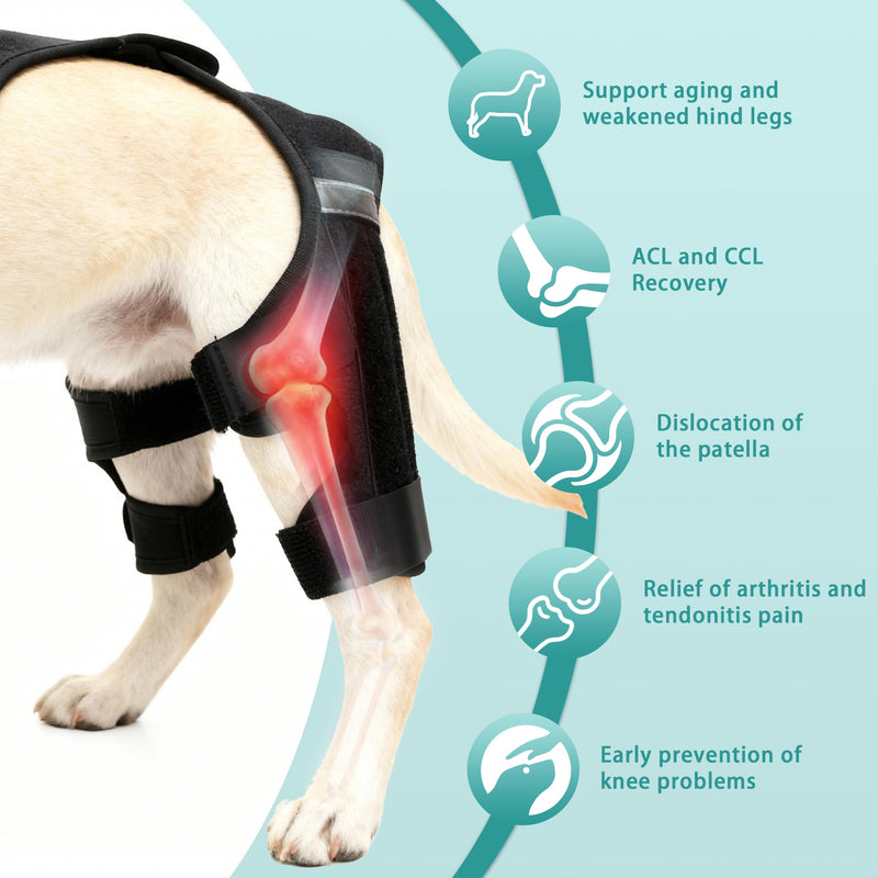 Dog Knee Braces for Torn ACL Hind Leg, Adjustable Dog Leg Braces for Back Leg with 4 Stabilizers for Luxating Patella Relieves Ligament Injury and Joint Pains