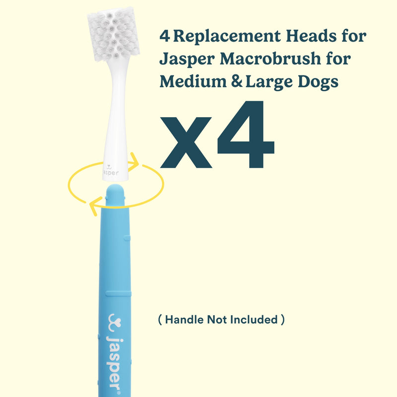 Jasper 4 Pack Replacement Brush Heads for Macrobrush 360° - Dog Toothbrush Kit for Dog Teeth Cleaning for Medium to Large Dogs, Pet Toothbrush to Keep Dog Teeth Clean & Dog Breath Fresh - PawsPlanet Australia