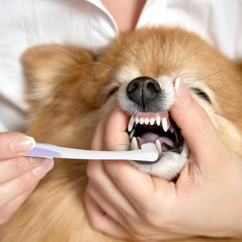 Small Dog Cat Toothbrush Pets Toothbrush Soft Bristle Cat Dental Brush Micro Head Puppy Tooth Brush Deep Clean Kit Portable Cats Dental Care for Puppy Kitten Daily Brushing - PawsPlanet Australia