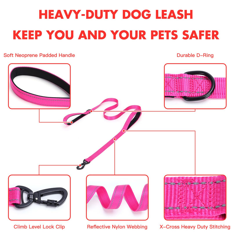 Martingale Dog Collar with Stainless Steel Chain and Leash Set, Martingale Collar with Reflective, 5FT Double Handle Dog Leash Padded, Adjustable for Medium Large Dogs (M, Teal) M - PawsPlanet Australia