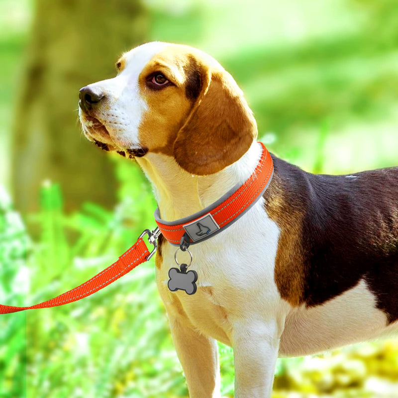 Joytale Dog Harness (Chest: 12-28"), Dog Collar and 6FT x 1" Wide Dog Leash Set, Reflective Neoprene Padded Collar and Leash, and Adjustable Soft Harness with Handle for Dogs - PawsPlanet Australia