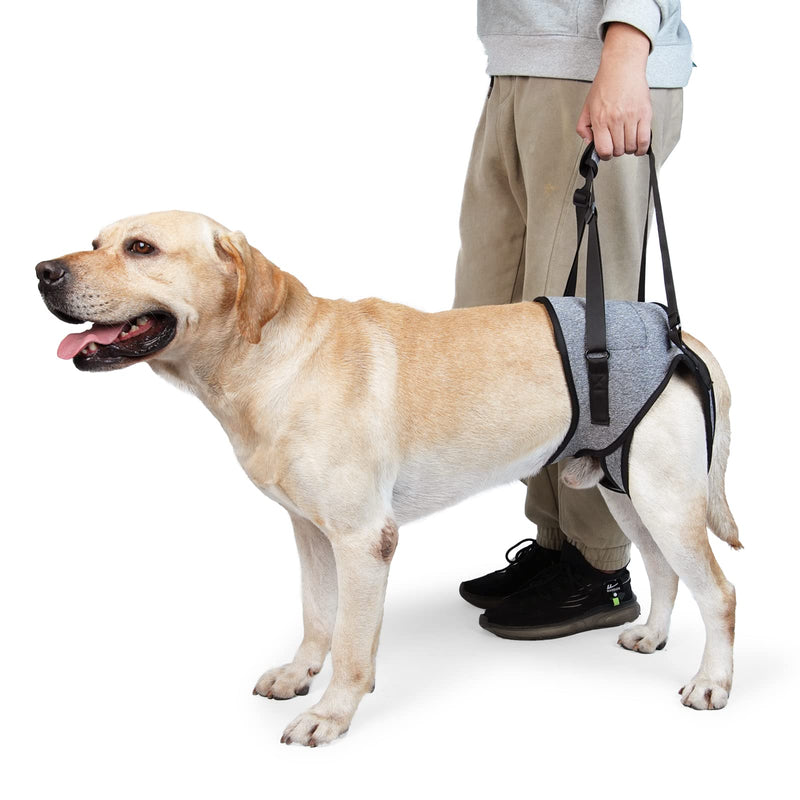 Dotoner Dog Lifting Harness, Dog Support Harness for Back Legs, Soft Support Sling for Injured Disabled Small, Medium Large Dogs, Sling for Back Legs, Lift Support Harness (S, Grey) S