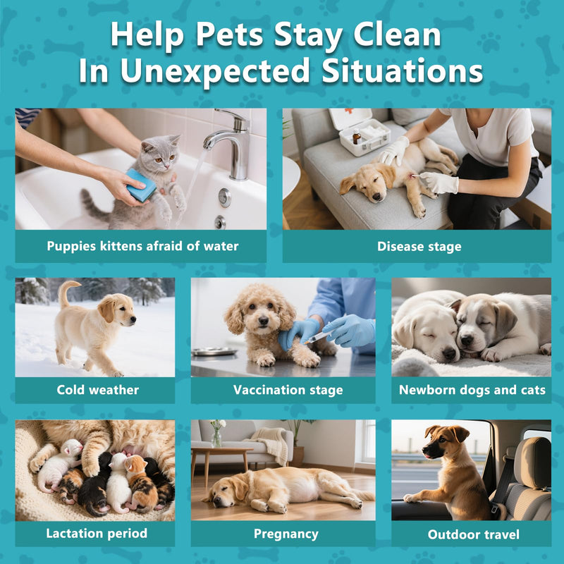 6PCS Unscented Extra Thick Pet Glove Wipes for Dogs & Cats, Dog Cat Washing Cleaning Gloves, Dog Grooming Bath Gloves for Daily Care and Traveling, Rinse Free 6 PCS - PawsPlanet Australia