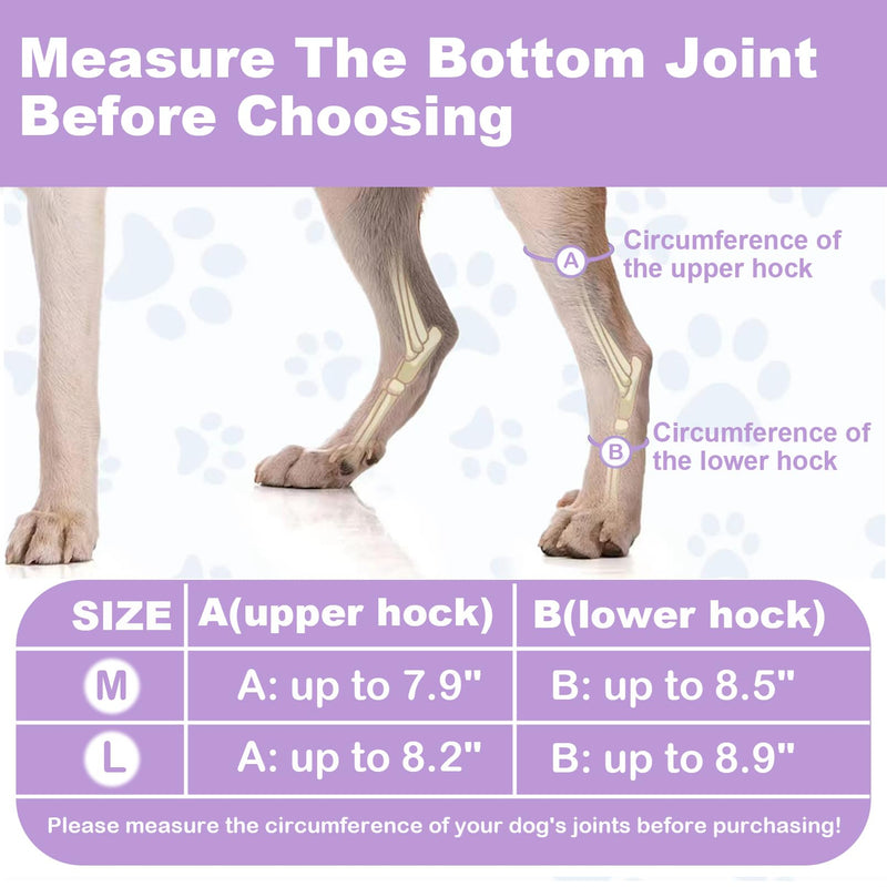 Dog Leg Brace for Back Leg Rear Leg Hock Ankle, Dog Hip Brace for Sprains, Torn Ligaments and Post-Op, Strong Support Help, Lightweight, Promotes Faster Recovery and Reduce Pain, 1 Pair, Large Violet - PawsPlanet Australia