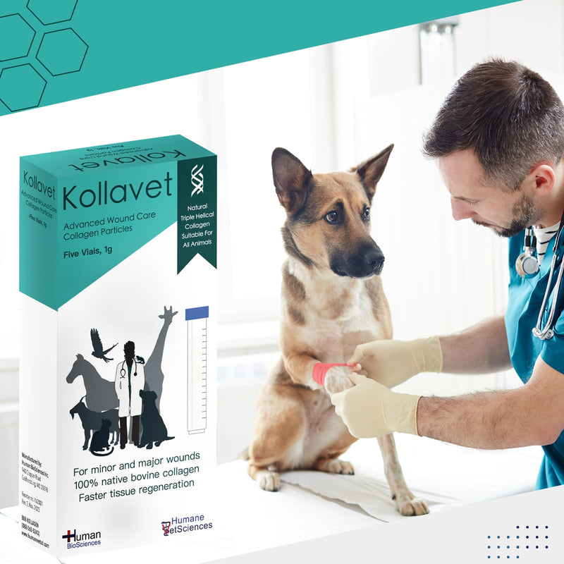 Veterinarian-Recommended Animal Wound Care Dressing for Cats, Dogs, Horses, Reptiles, Pets, and Working Animals (1 Gram Vials) 1 Gram Vials - PawsPlanet Australia