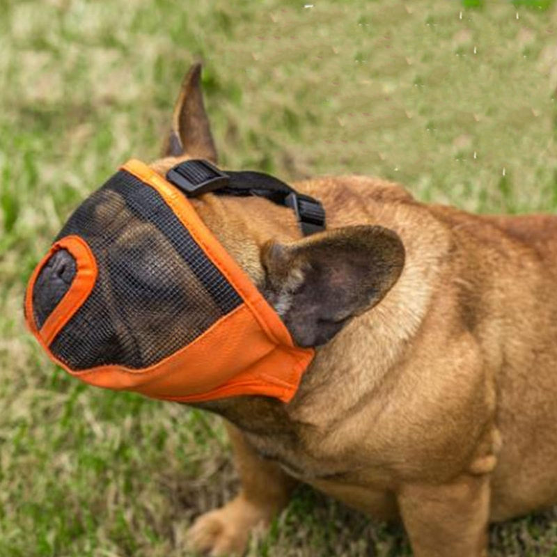 Soft Short Snout Dog Muzzle, Breathable Mesh Design Easy to Wear Strong Flat Face Bulldog Muzzle for Biting Chewing Licking (Orange S) (M #12) M #12