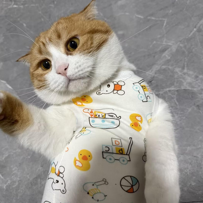2 Pack Breathable Cat Recovery Suit,Cat Post-Surgery Bodysuit for Kittens After Surgery,Bodysuit for Spayed Female Kittens for Post-Surgery Abdominal Wounds Skin Disease Protection