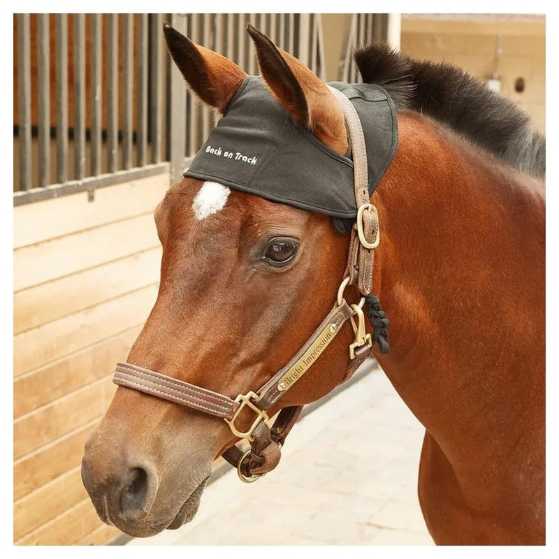 Back on Track Halter Large Black - PawsPlanet Australia