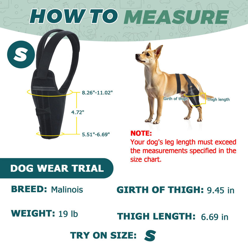 Dog Knee Brace for Torn Acl Hind Legs – Adjustable Support Brace with 2 Stabilizer Support to Reduces Pain, Ligament Injuries & Luxating Patella for Small Medium Large Dogs (Right Leg, S)
