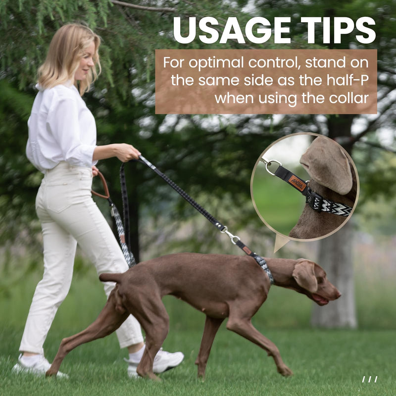ANDA Martingale Dog Collar with Quick Release Buckle – Adjustable Training No Slip Dog Collar, Daily Use Walking and Training (Large) Large - PawsPlanet Australia