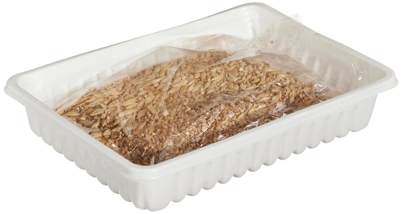 TX-4235 Cat Grass Bowl 100g (Pack of 3)