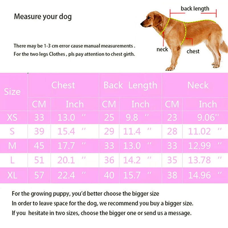 Dog Bodysuit Surgery Recovery Suit for Female Dogs,Small and Medium-Sized Dogs Zipper on Back-Post-Spay Dog Surgery Recovery Suit Puppy Cat Long Sleeve Onesies Bodysuit After Surgery Wound Protective Pink - PawsPlanet Australia