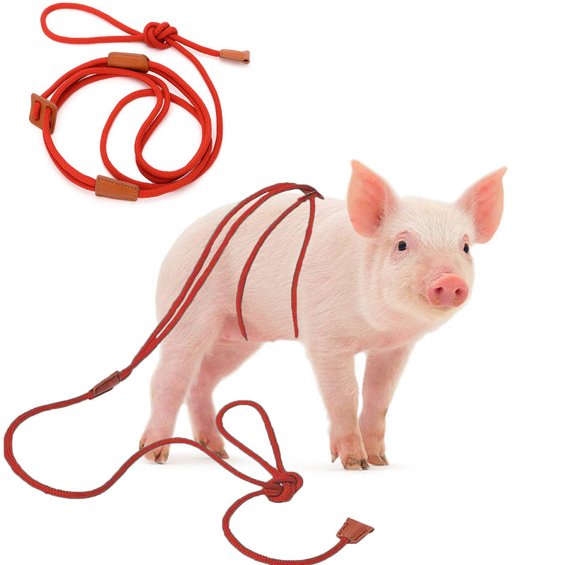 Pig Harness & Leash, Escape Prevention Adjustable Rope, All in One Design, All Life Stages Small to Medium Mini Pigs-5 Feet Long-Red Red - PawsPlanet Australia