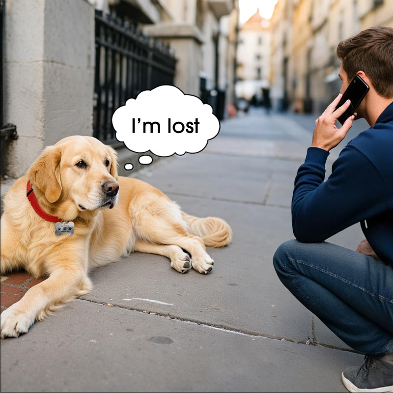 Stainless Steel Pet Tag | Easy-to-use Tag with QR Code | Modifiable Pet Online Profile | Emergency Contacts | No Subscription or Fees | Laser Engraved & Clear | Waterproof & Durable - PawsPlanet Australia