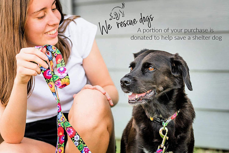 Lucky Love Dog Martingale Collar, Premium No Slip Collar, Great for Whippets, Greyhounds, and More (Blackbird, Large) Large | 15-25" Blackbird - PawsPlanet Australia