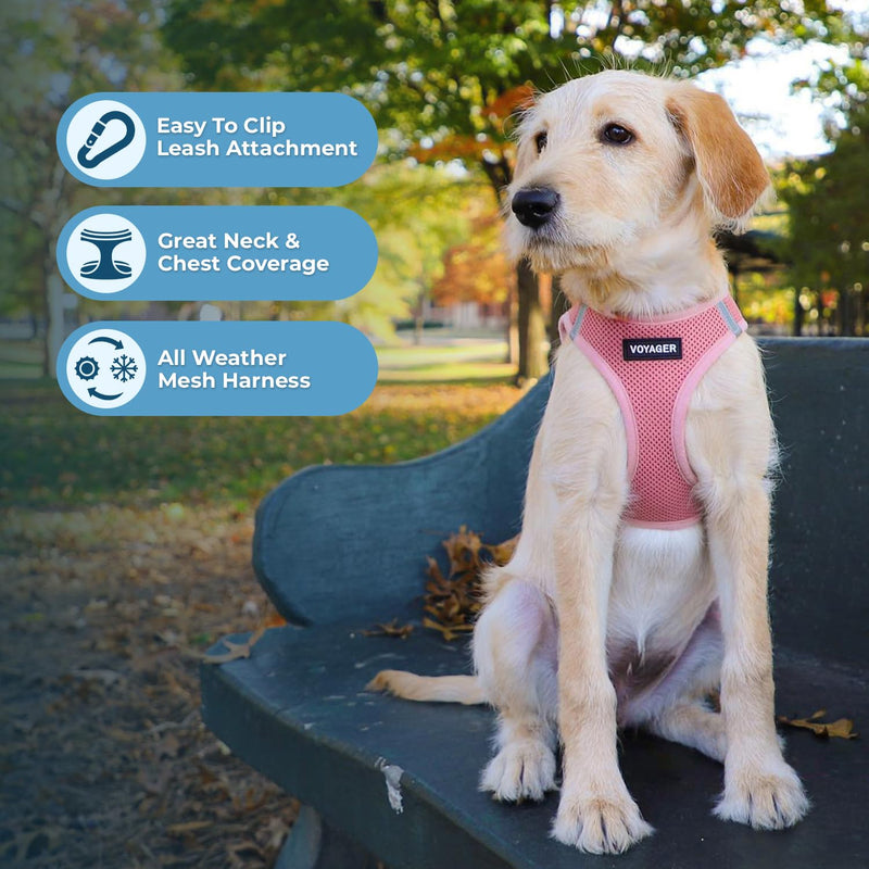 Voyager Step-in Air Cat Harness - All Weather Mesh Step in Vest Harness for Small and Medium Cats by Best Pet Supplies - Harness Leash Set (Pink), XXS Leash Bundle (Pink Matching Trim) XXS (Chest: 11.5 - 13" * Fit Cats) - PawsPlanet Australia