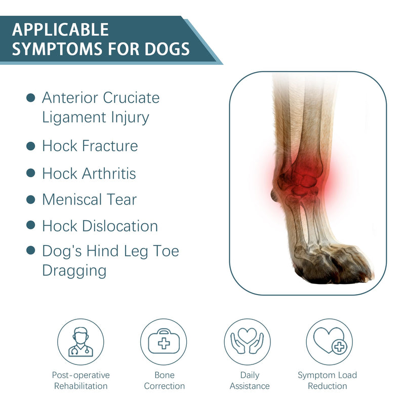 Dog Knuckling Brace, Dog Toe Grips for ACL Injury, Hock Fracture, Arthritis & Meniscus Tears, Rear Legs, L