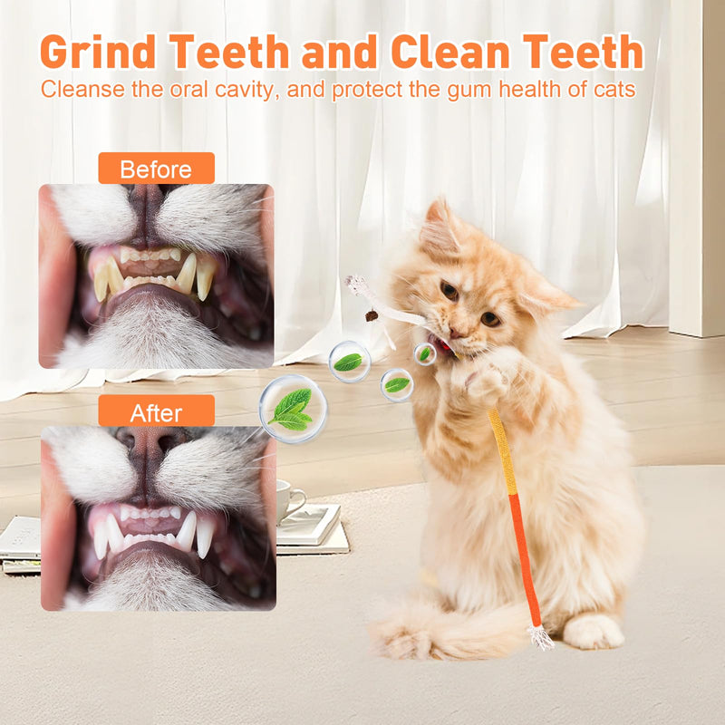 Sisal Rope Cat Toys, 6 Pcs Cat Chew Toy for Teeth Cleaning, 27.56 Inches Big Catnip Rope Toys for Indoor Cats, Interactive Cat Nip Teething Toys, Safe Chew Cat Toys (6 Bags of Catnip Included) - PawsPlanet Australia