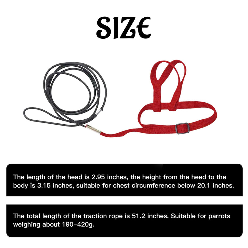 2 pcs Pet Parrot Bird Harness and Leash, Adjustable Training Design Anti-Bite, Outdoor Flying Training Rope Kit for Bird Parrots Fits Birds Chest Between24-51cm /9.45-20inch - M (red red - PawsPlanet Australia