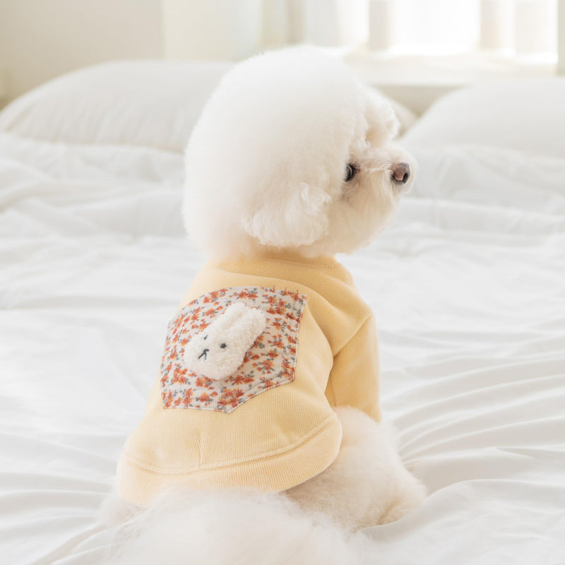 Pinkaholic New York Dora Cute Winter Mock Neck Shirt Flower Pattern for Small and Medium Dogs, Yellow, Medium - PawsPlanet Australia